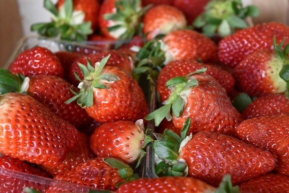 producir, fruta, dulce, Berry, fresas, postre, alimentos, delicioso
