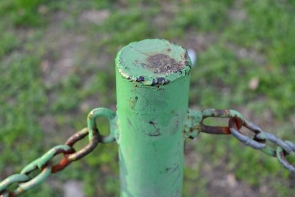 cast iron, fence line, green, metal, paint, barrier, fence, nature