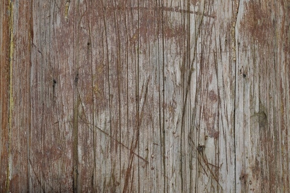 vecchio, legno duro, modello, legno, parete, grezzo, trama, superficie