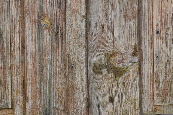 hardwood, knot, oak, old, surface, wooden, wood, panel