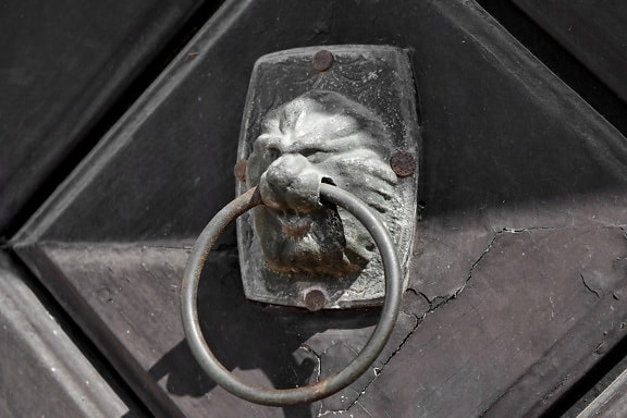 aleación de, hierro fundido, puerta de entrada, León, ornamento de, hierro, antiguo, acero