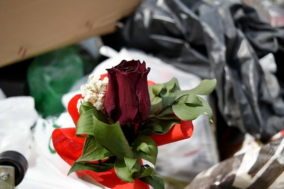 bouquet, garbage, junk, junkyard, love, rose, trash, arrangement