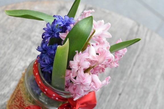 Blumenstrauß, Glas, Vase, Hyazinthe, Blume, Blumen, Anordnung, Anlage