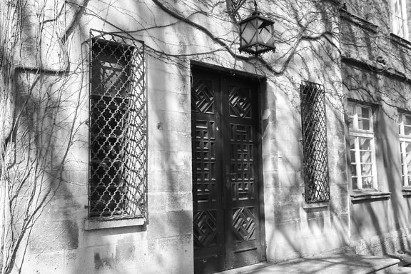 preto e branco, fachada, Hera, arquitetura, edifício, velho, casa, vintage