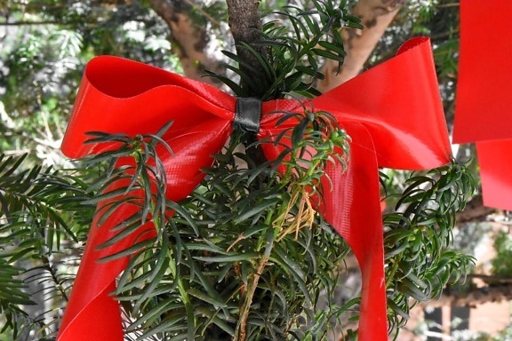 christmas, tree, plant, shrub, celebration, decoration, thread, hanging
