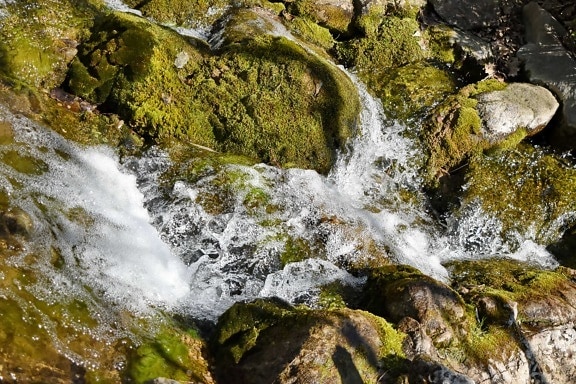 natura, roccia, pietra, foresta, montagna, fiume, acqua, diretta streaming