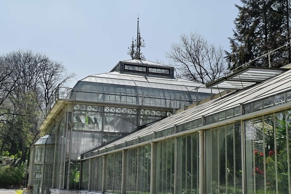 Botanische, hoofdstad, tuin, het platform, broeikasgassen, structuur, gebouw, venster