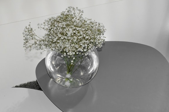 цветя, минимализъм, натюрморт, ваза, стъкло, цвете, природата, флора