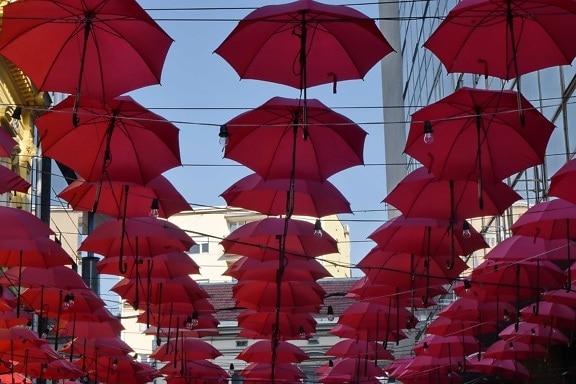 장식, 거리, 우산, 색, 패턴, 디자인, 기호, 축제