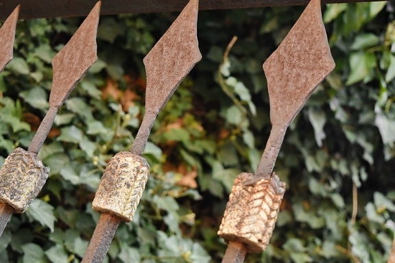 cast iron, handmade, rust, spearhead, nature, leaf, outdoors, summer