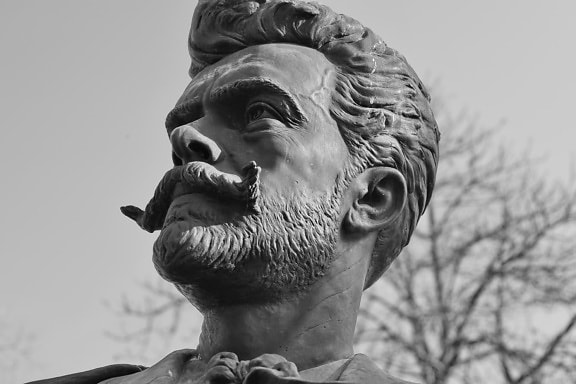 noir et blanc, buste, homme, moustache, Portrait, statue de, sculpture, art