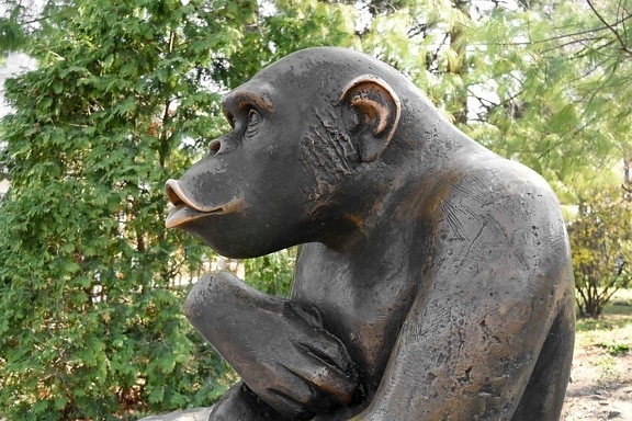 arte, bronze, ferro fundido, macaco, natureza, escultura, ao ar livre, Parque