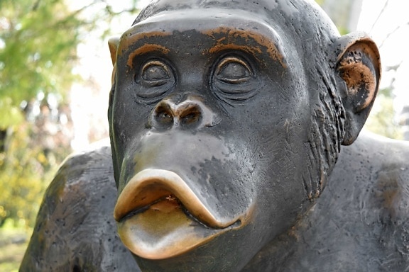 bronze, monkey, sculpture, statue, covering, art, face, nature