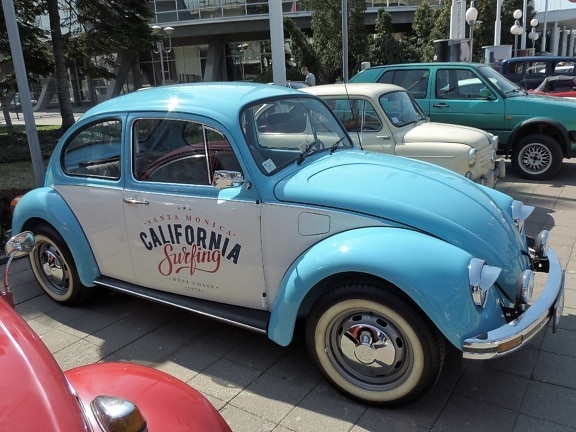 Volkswagen beetle, cars, parking lot, show, automobile, automotive, car, chrome, classic