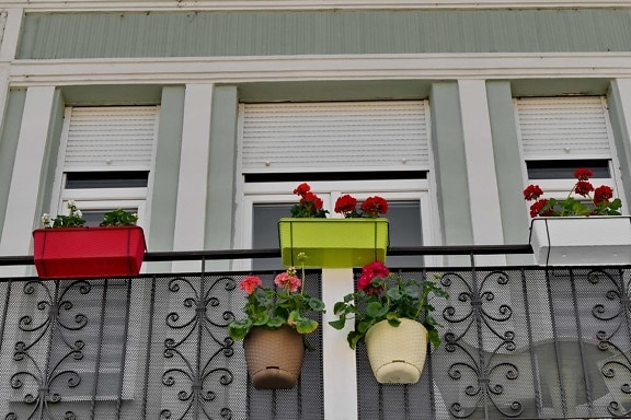 balcon, décoration, pot de fleurs, fenêtre, maison, Accueil, architecture, famille