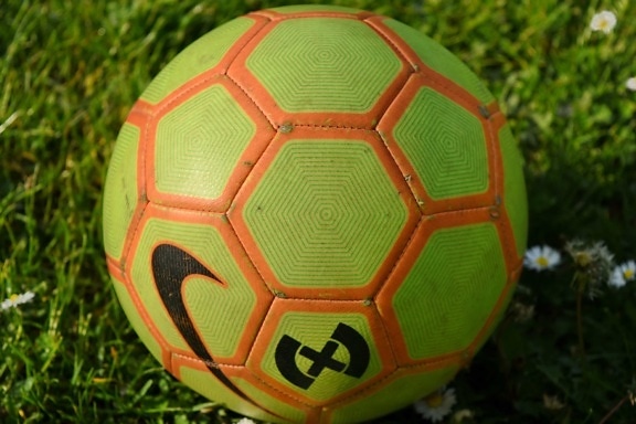 game, sport, soccer ball, soccer, football, equipment, goal, grass