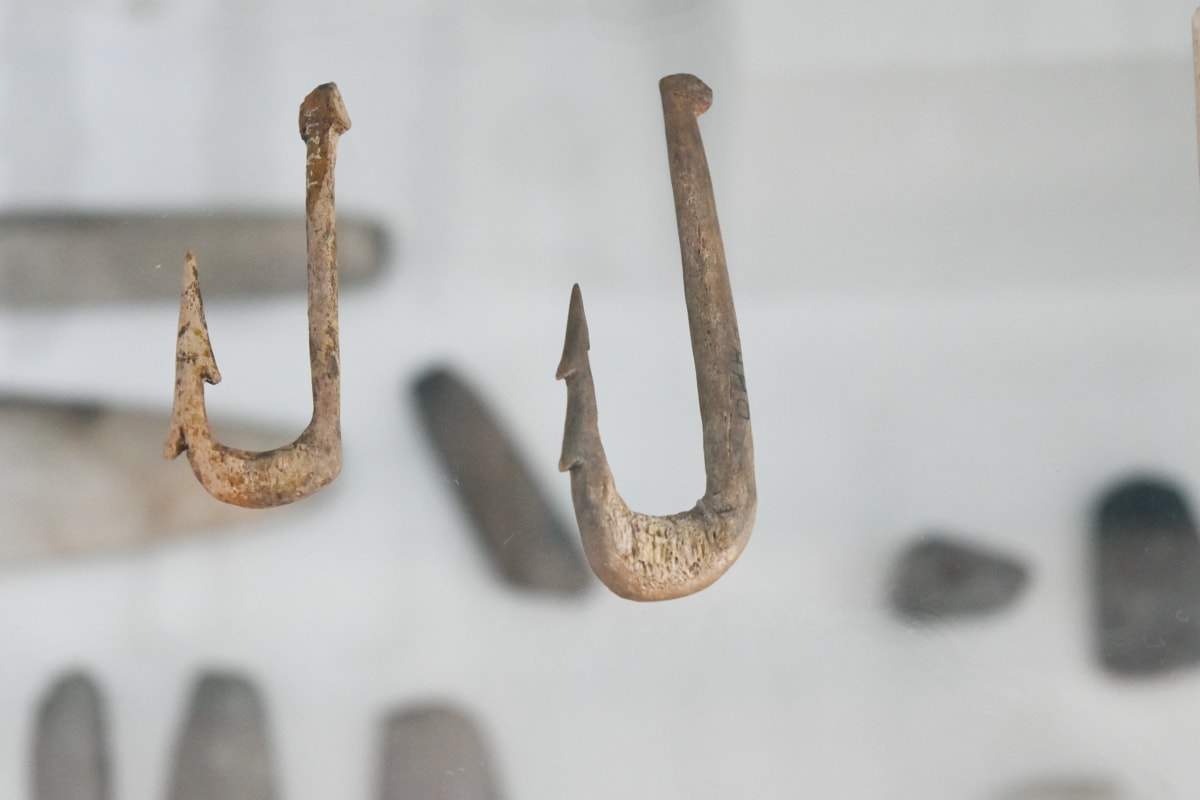 antiguidade, antiguidade, ossos, ferramenta de mão, feito à mão, medieval, Museu, gancho