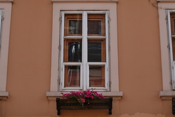 fachada, vaso de flor, janela, casa, janela, arquitetura, Casa, design de interiores, dentro de casa, madeira