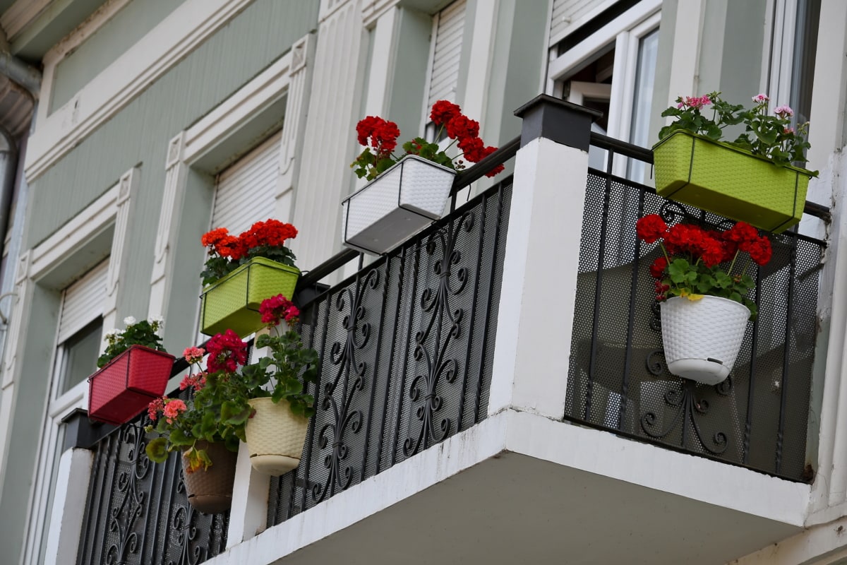 Balkon, Blumentopf, Stadtregion, fenster, Haus, Architektur, Fenster, Erstellen von, Haus, Blume