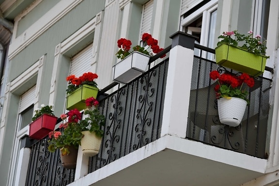 balcon, pot de fleurs, zone urbaine, fenetres, maison, architecture, fenêtre, Création de, Accueil, fleur