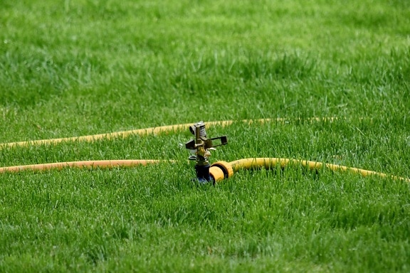 faucet, green grass, hose, irrigation, mechanism, grass, field, device, lawn, summer