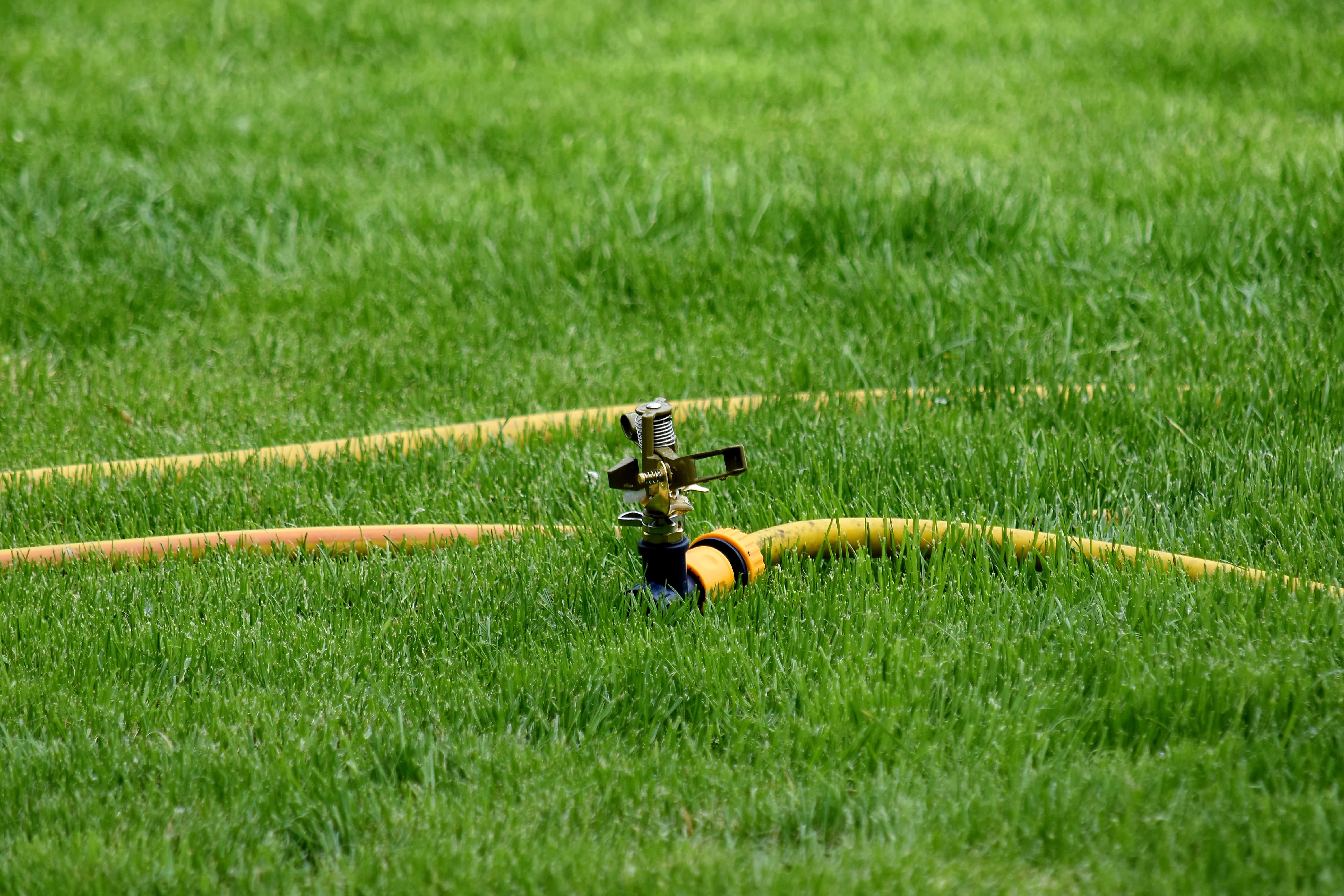 Free picture: faucet, green grass, hose, irrigation, mechanism, grass, field, device, lawn, summer