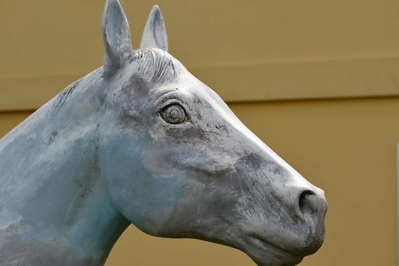 detalj, häst, plast, skulptur, djur, kavalleriet, porträtt, huvud, naturen, staty