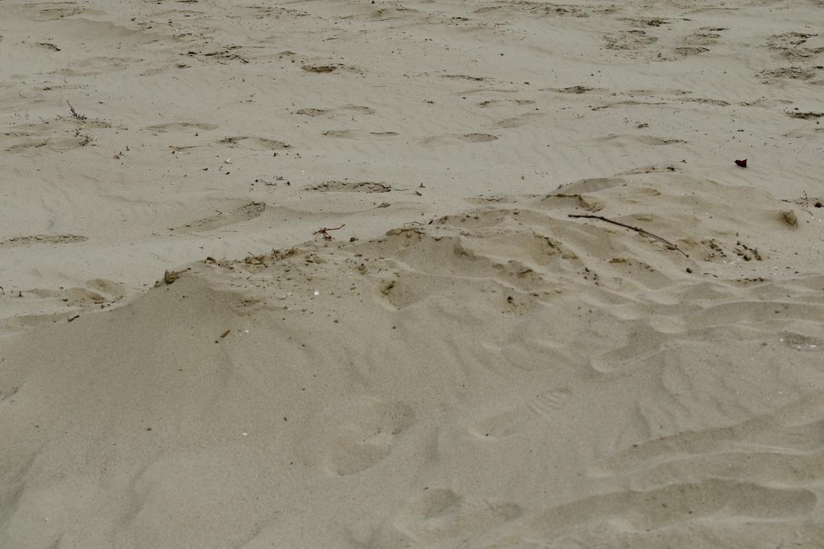 strand, zandbank, bodem, zand, textuur, kust, woestijn, patroon, Duin, Wasteland