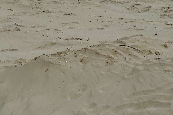 plage, Banc de sable, sol, sable, texture, bord de mer, nature sauvage, modèle, dune, terre en friche