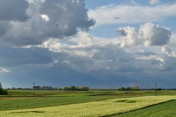 农业, 云量, 晴朗天气, 字段, 麦田, 景观, 草, 农村, 农村, 农业