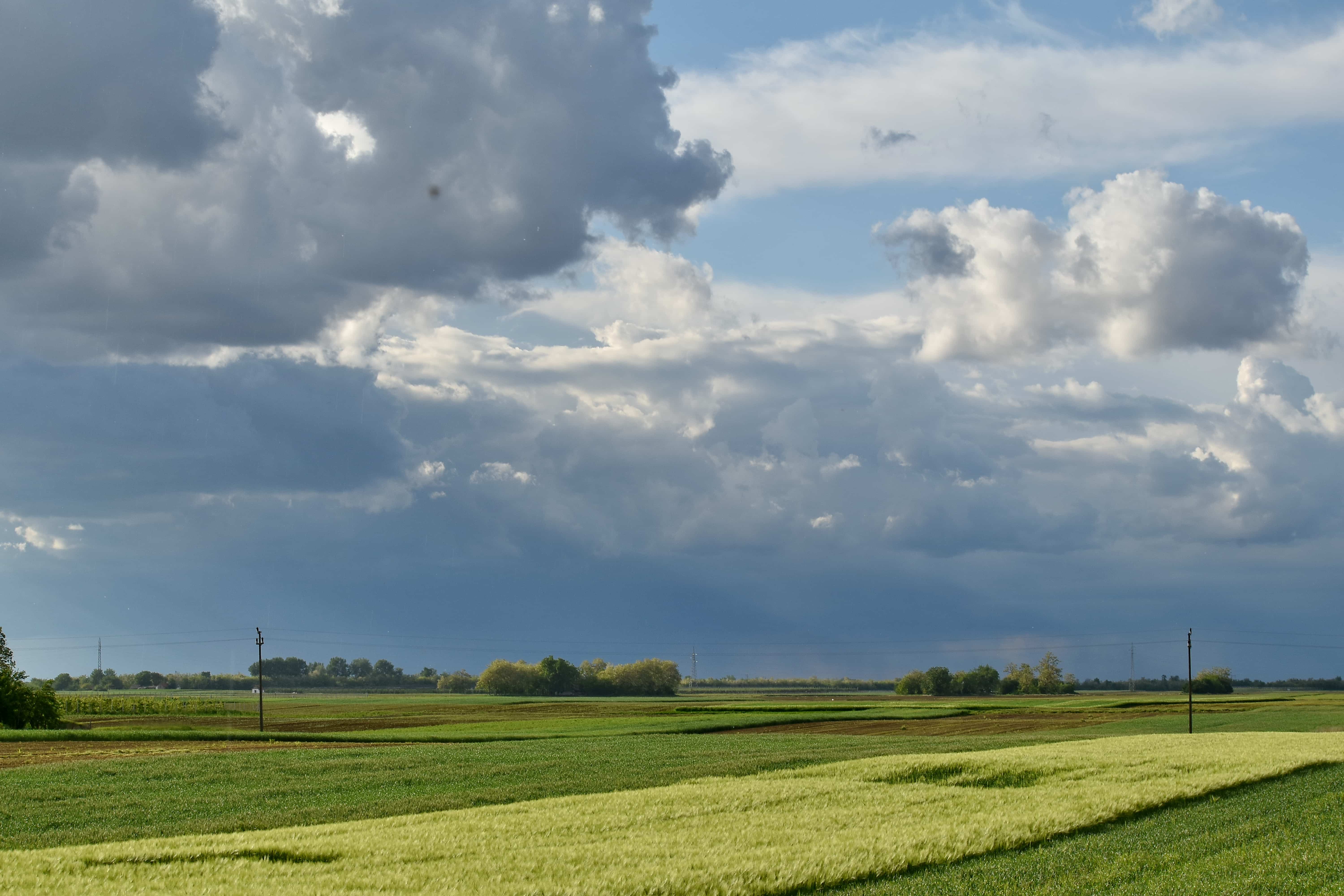 Ясная погода 5 букв. Паханое поле. Небо и поле пшеницы. Поле в октябре. Ясная погода.