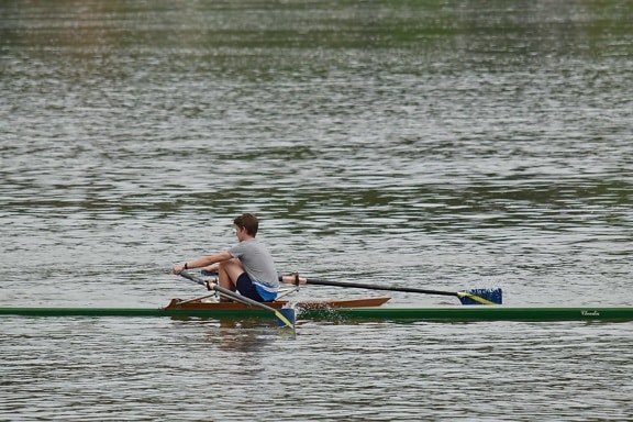 athlete, sport, water, oar, competition, race, paddle, action, recreation, river