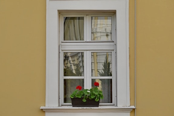 fatada, Ghiveci de flori, fereastra, pervaz, Casa, lemn, arhitectura, acasă, perete, uşă