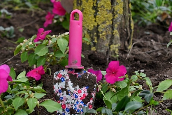 garden, gardening, hand tool, shovel, nature, flower, dessert, flora, leaf, summer