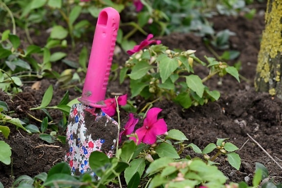 gardening, ground, shovel, leaf, flower, plant, nature, garden, outdoors, summer