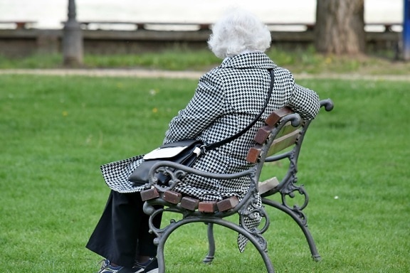 lavica, starší ľudia, babička, dôchodca, tráva, vonku, park, trávnik, letné, mimo