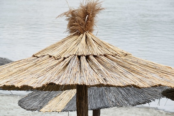 parasol, shadow, nature, covering, beach, water, roof, seashore, wooden, ocean