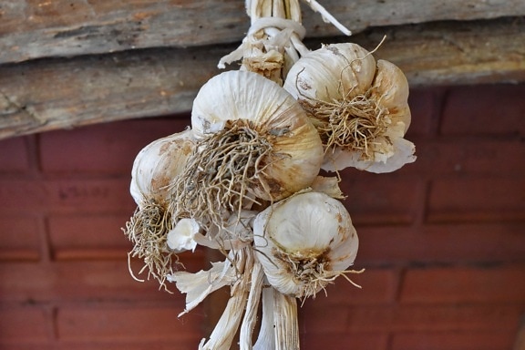 root, garlic, vegetable, nature, food, wood, health, wooden, upclose, spice