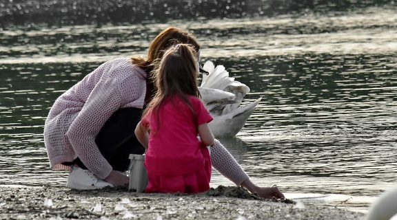 pájaro, hija, maternidad, orilla del río, cisne, estar juntos, agua, personas, mujer, al aire libre
