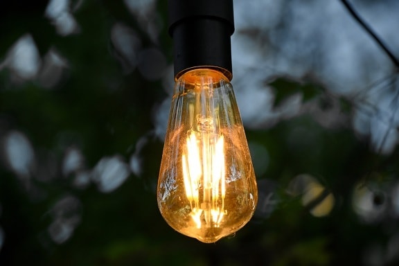 light bulb, bottle, lamp, light, glass, bright, illuminated, outdoors, nature, blur