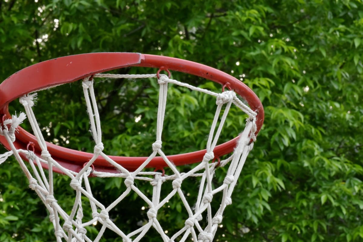 game, basketball, leisure, recreation, web, ball, basket, sport, outdoors, playground