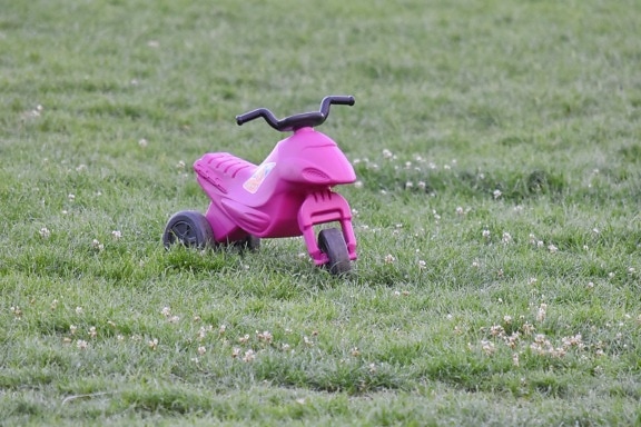 toy, tricycle, conveyance, park, grass, summer, nature, outdoors, lawn, leisure