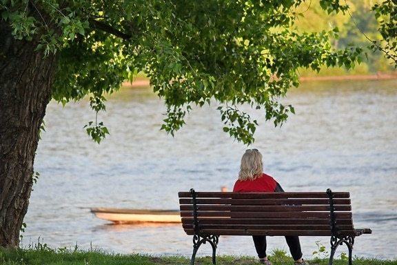 relaxation, river, woman, seat, leisure, furniture, outdoors, bench, water, tree