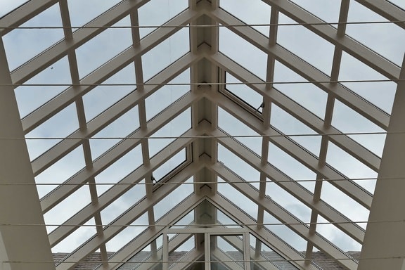 atrium, ceiling, glass, roof, transparent, building, perspective, architecture, geometric, structure