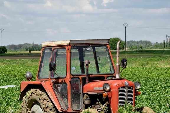 poľnohospodárske, traktor, vozidlo, strojové zariadenia, stroj, pôdy, poľnohospodárstvo, farma, vidieka, Zem