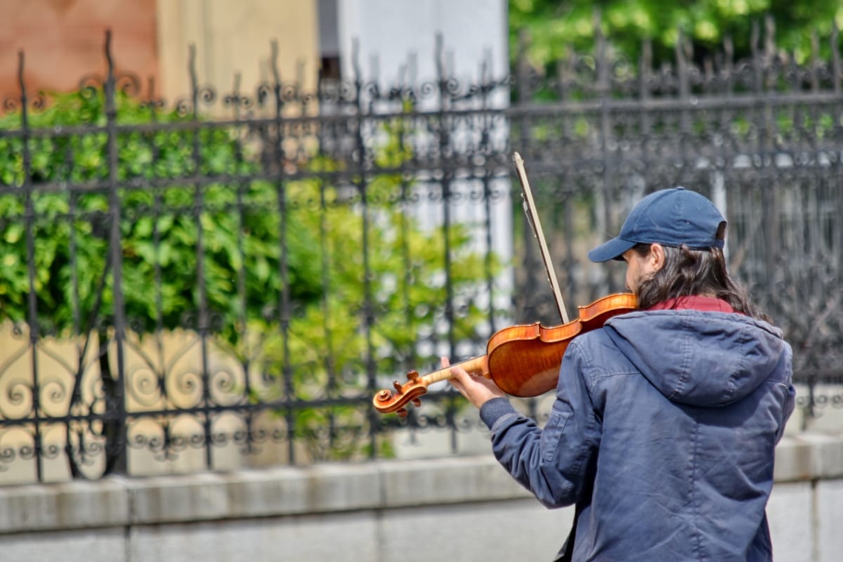 艺术家, 音乐家, 街道, 小提琴, 人, 户外活动, 人, 性质, 夏天, 城市