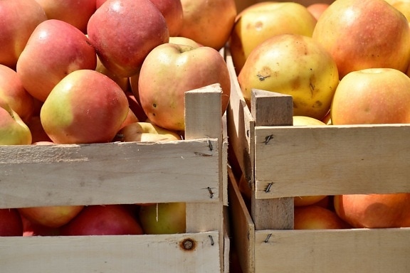 кутия, органични, храна, пазар, плодове, пресни, произвежда, ябълка, дървен материал, ферма