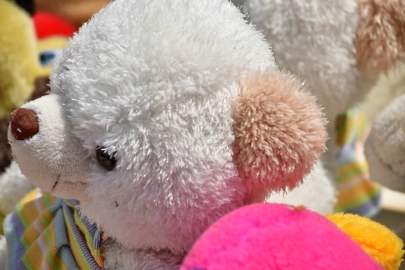 teddy bear toy, white, toy, cute, plush, funny, wool, fun, traditional, bear