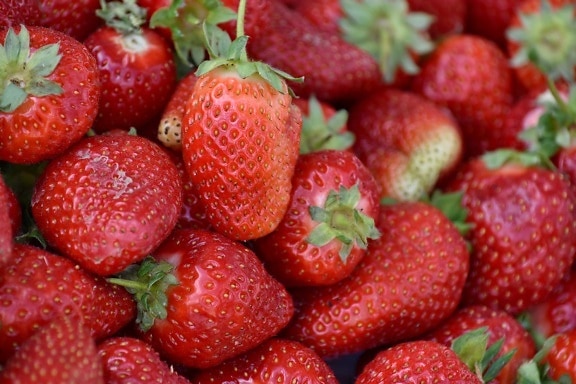 健康, 草莓, 水果, 美味, 餐饮, 浆果, 草莓, 生产, 营养, 叶