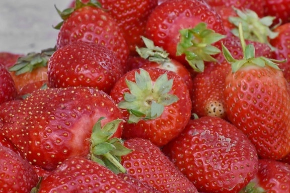 农业, 草莓, 浆果, 美味, 健康, 草莓, 餐饮, 营养, 叶, 夏天